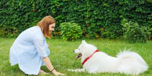 Los mejores adiestradores de perros en Bilbao