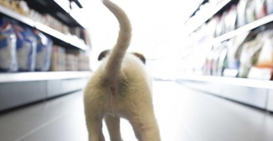 Las mejores tiendas para mascotas en Manresa