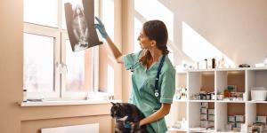 Veterinarios de urgencias en Cartagena