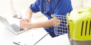 Veterinarios de urgencias en Alicante - Lista de veterinarios 24 horas