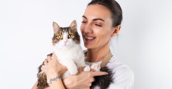 Los mejores cuidadores de gatos en Tarragona