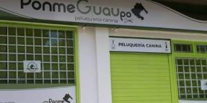 Ponme Guaupo - Peluquería canina