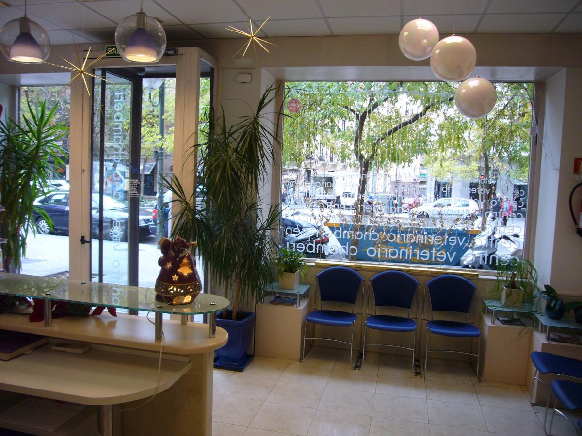 Centro veterinario Chamberí