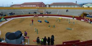Centro Canino Deportivo Mi perro 10