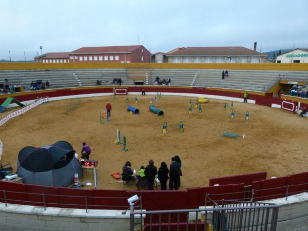 Centro Canino Deportivo Mi perro 10