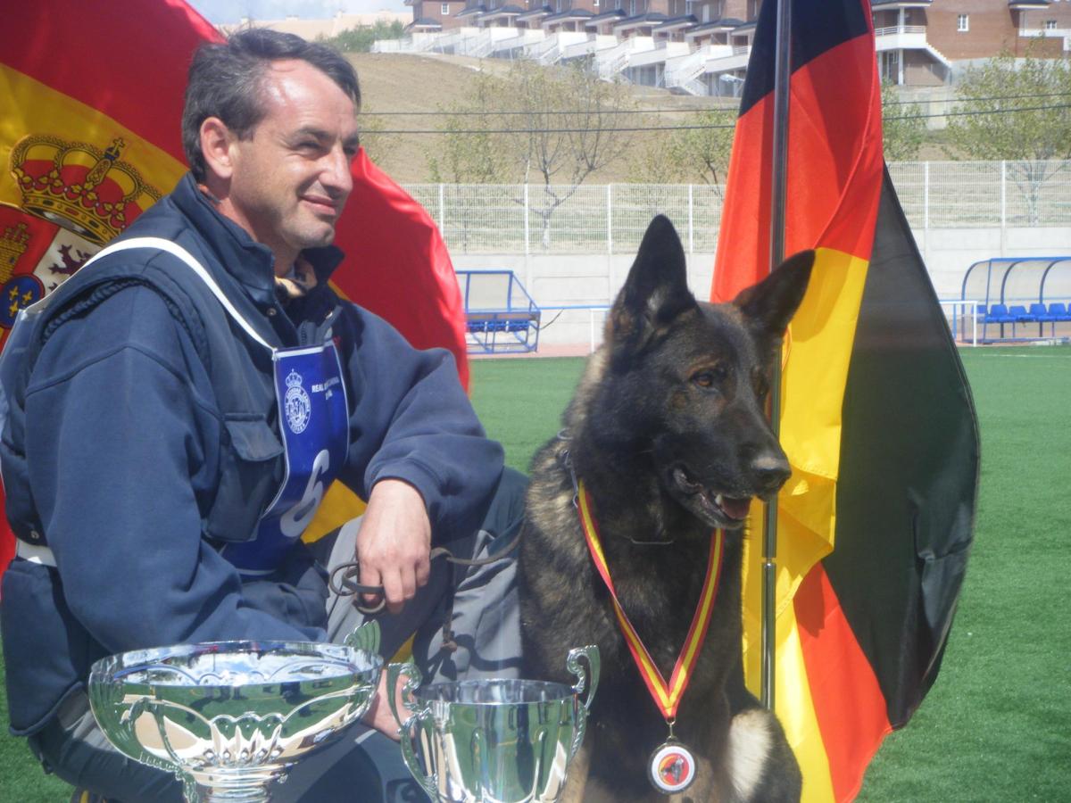 Debrian - Adiestramiento canino