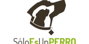 Solo Es Un PERRO