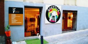 Dogville - Todo para tu mascota