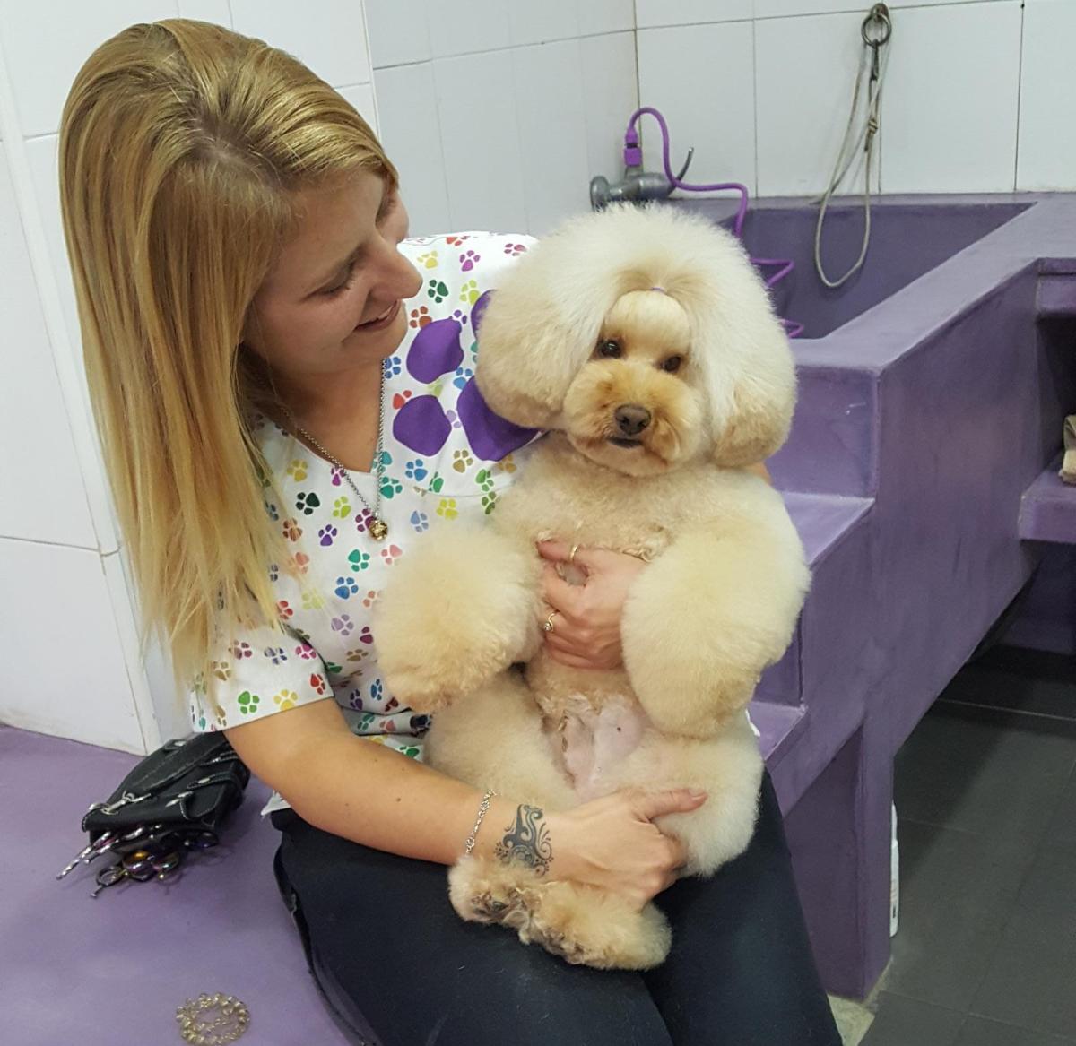 Peluquería Canina Cotompel