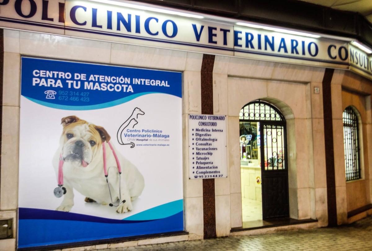 Centro Policlínico Veterinario Málaga