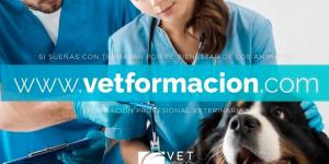 VETFORMACIÓN