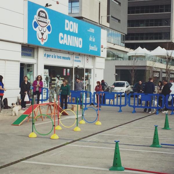 Don Canino