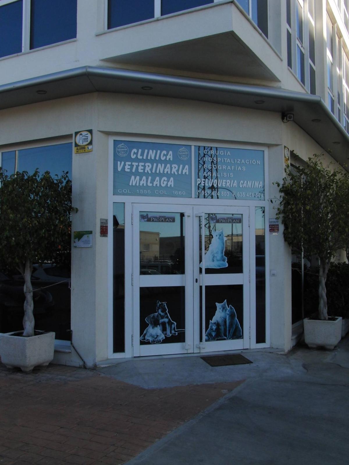 Clínica Veterinaria Málaga