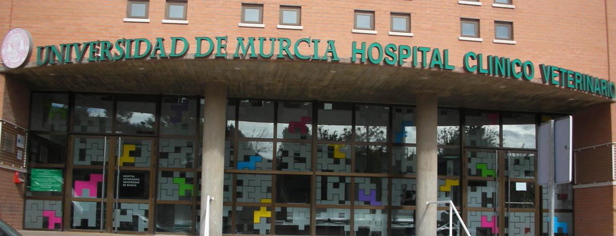 Hospital Veterinario Universidad de Murcia