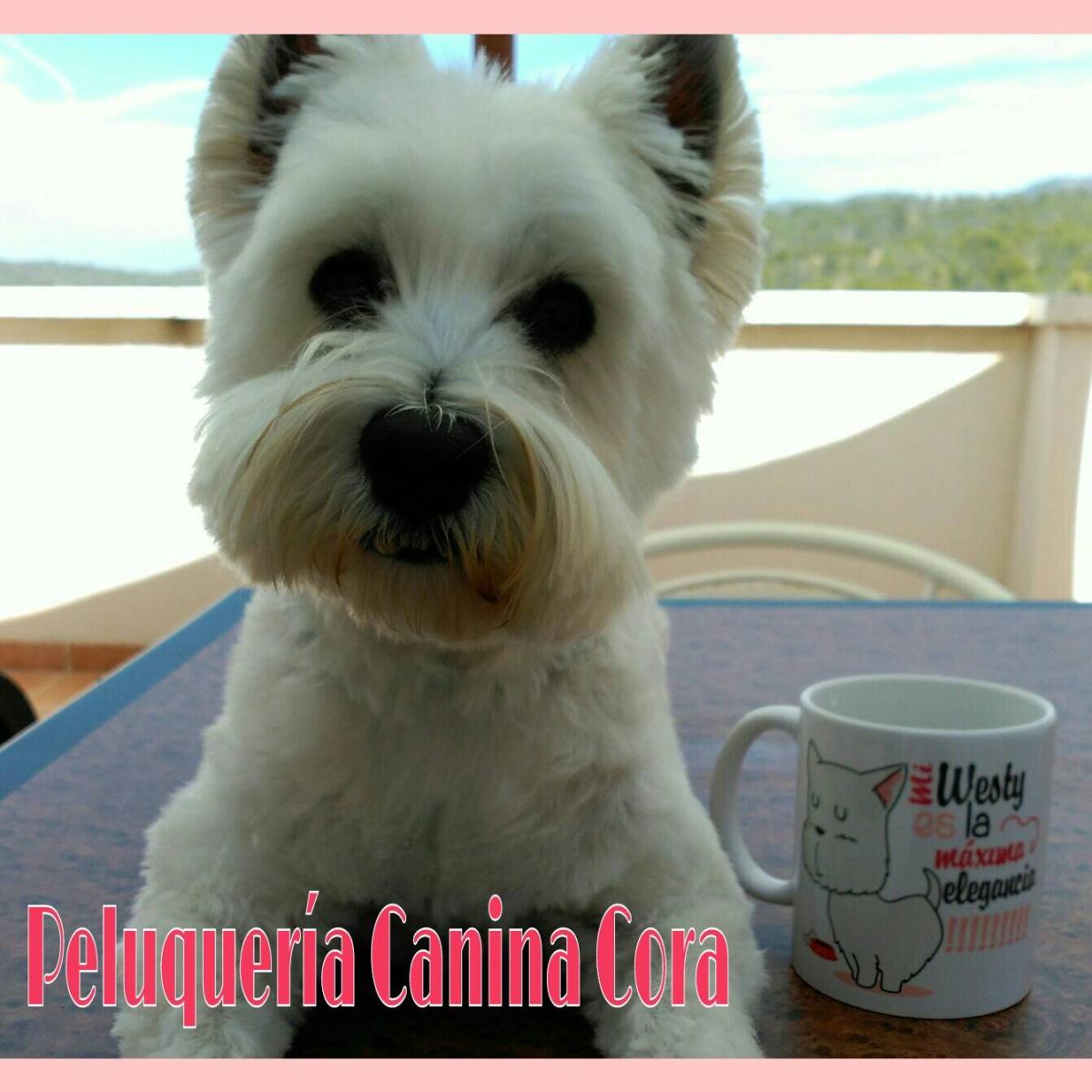 Peluquería Canina Cora