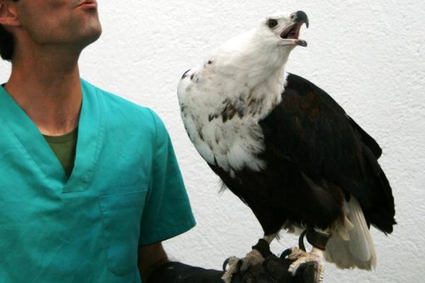 Clinica Taimyr
