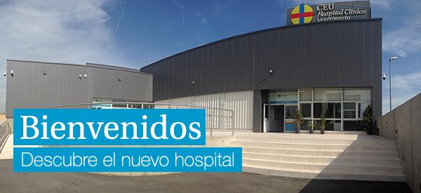 Hospital Clinico Veterinario CEU