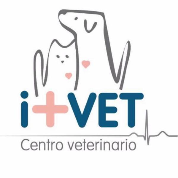Centro Veterinario I+VET