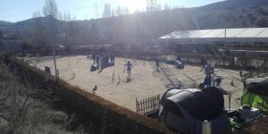 FormaDog