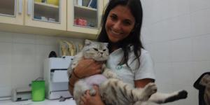 Clínica Veterinaria Castelló