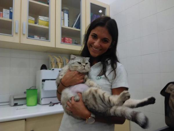 Clínica Veterinaria Castelló