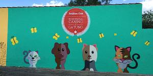 Petjilton Club Residencial Canino y Gatuno