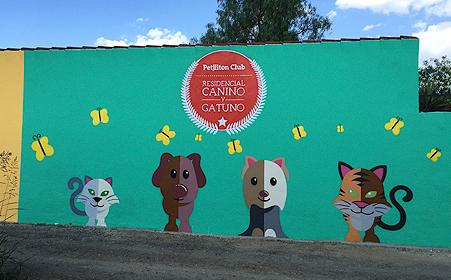 Petjilton Club Residencial Canino y Gatuno