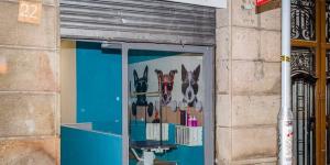 Ponlo Xulo - Peluquería y estética canina