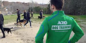 ACEO - Asesoramiento Canino en Estabilidad y Obediencia