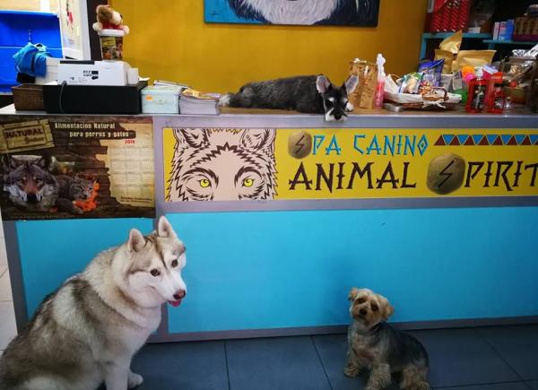 Animal Spirit - Spa y Peluquería Canina