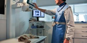 Clínica Veterinaria Vil·la Amèlia