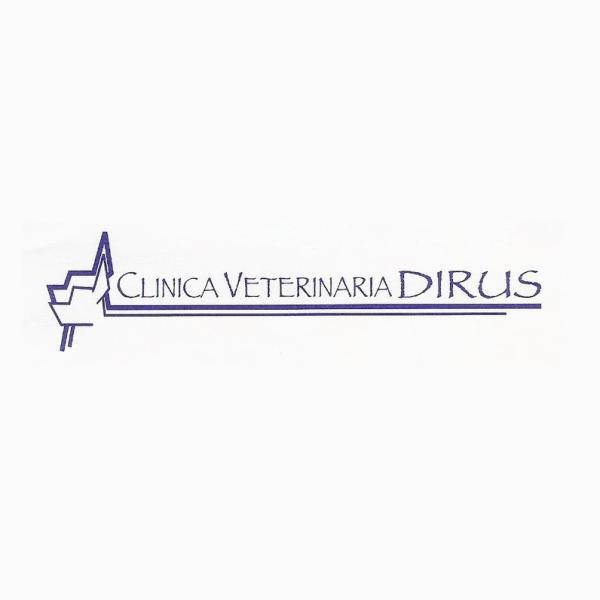 Clinica Veterinaria Dirus