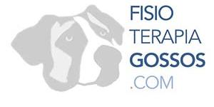 Fisioteràpia per a gossos