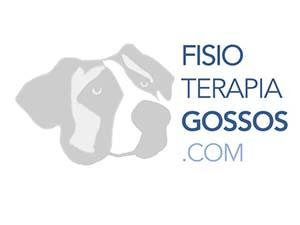 Fisioteràpia per a gossos