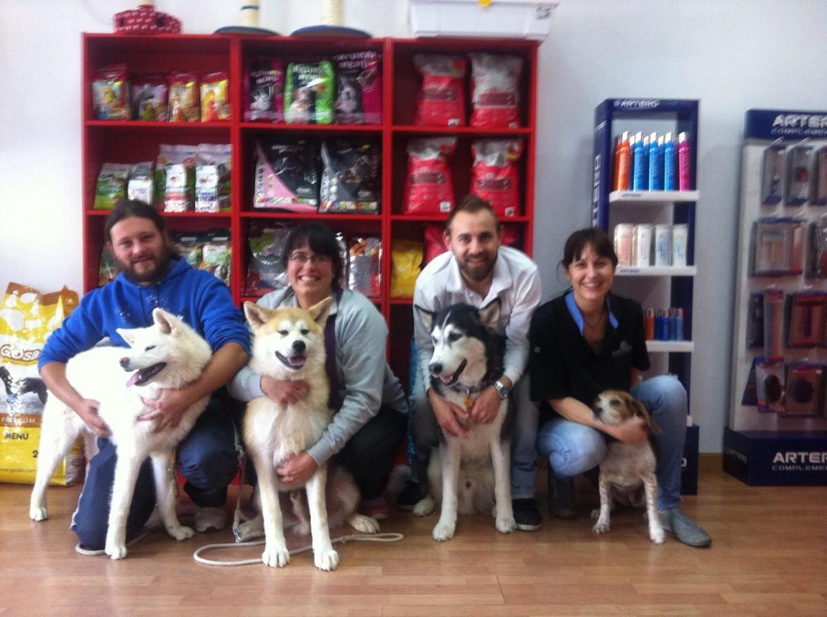 Los Amigos de Dexter