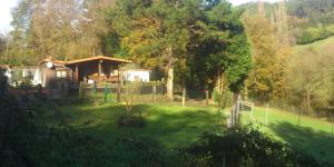 Jolasten Centro Canino