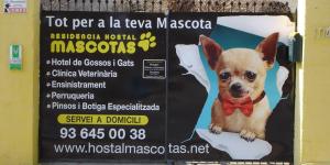 Residencia Hostal Mascotas