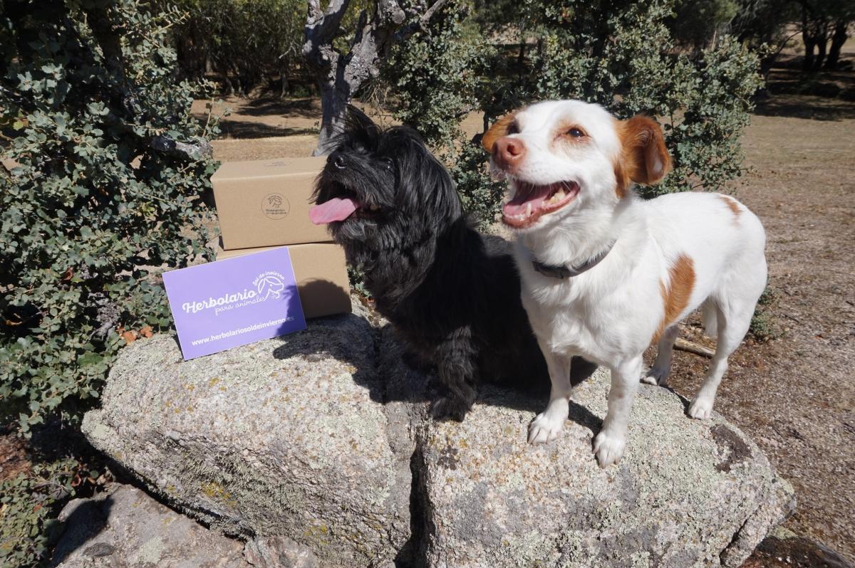 Herbolario Sol de Invierno