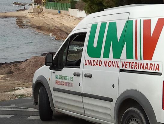 Unidad móvil veterinaria