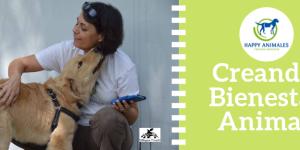 Happy Animales