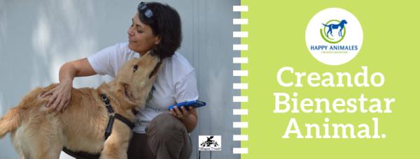 Happy Animales