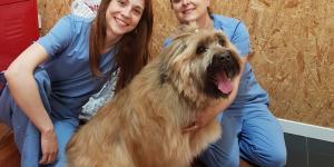 Clínica Veterinaria Docat