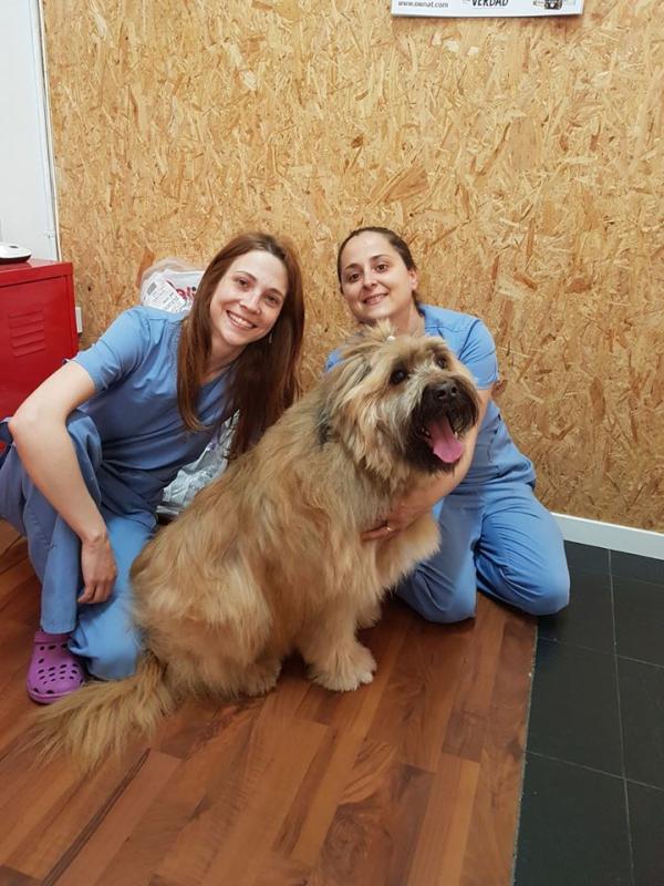 Clínica Veterinaria Docat