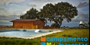 Campamento de Mascotas