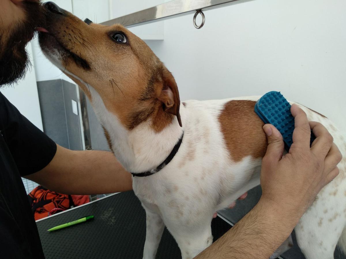 Clínica Veterinaria Murcia Norte