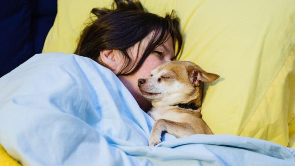 Dormir con tu perro puede ayudarle a vivir más años, según la ciencia: qué dicen realmente los estudios - La relación entre el estrés y la salud del perro: lo que dicen los expertos