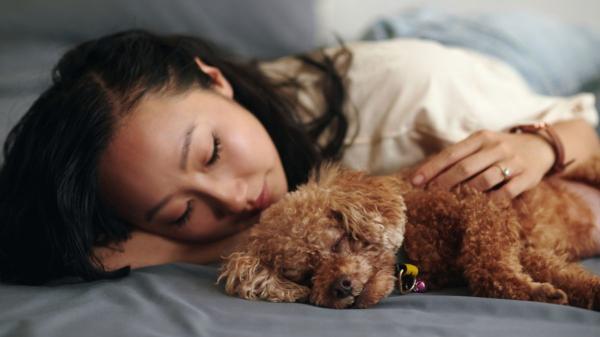 Dormir con tu perro puede ayudarle a vivir más años, según la ciencia: qué dicen realmente los estudios - Los veterinarios aclaran si compartir la cama puede hacer que un perro viva más años
