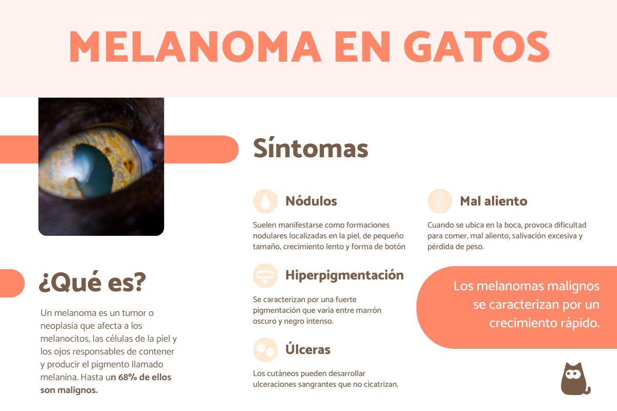 Melanoma en gatos: pronóstico y tratamiento