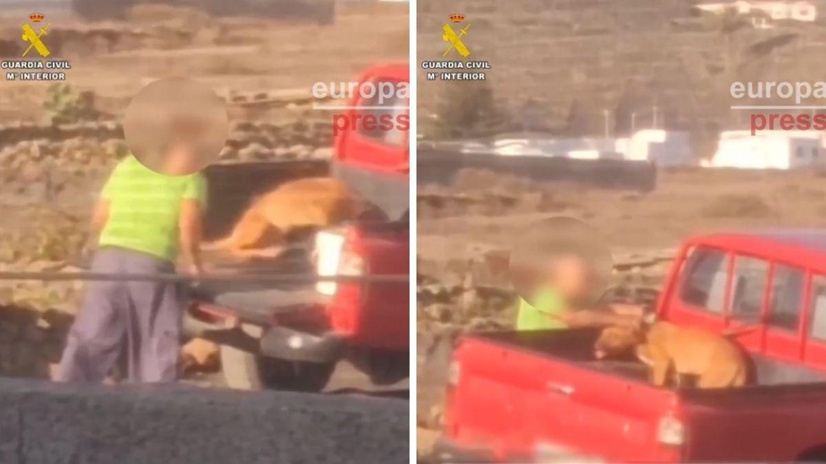 Detenido en Lanzarote un hombre que fue grabado golpeando a su perro: estas son las penas a las que se enfrenta