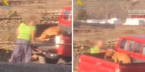 Detenido en Lanzarote un hombre que fue grabado golpeando a su perro: estas son las penas a las que se enfrenta